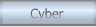 Cyber